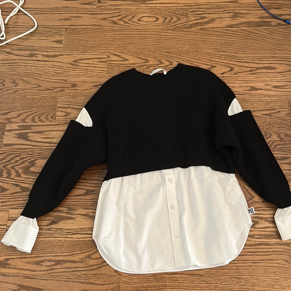 Alexander Wang sweater